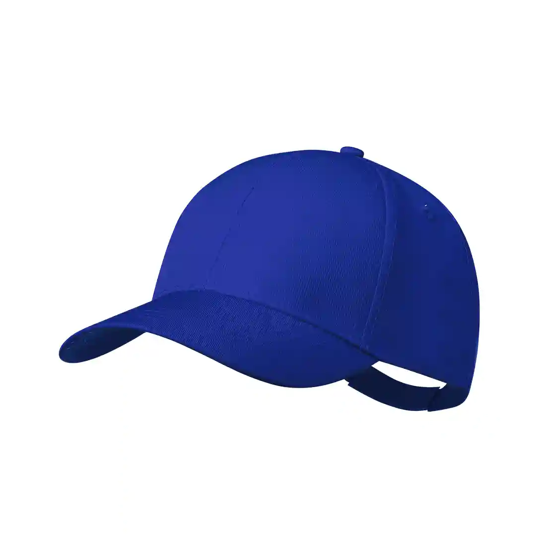 RPET Cap