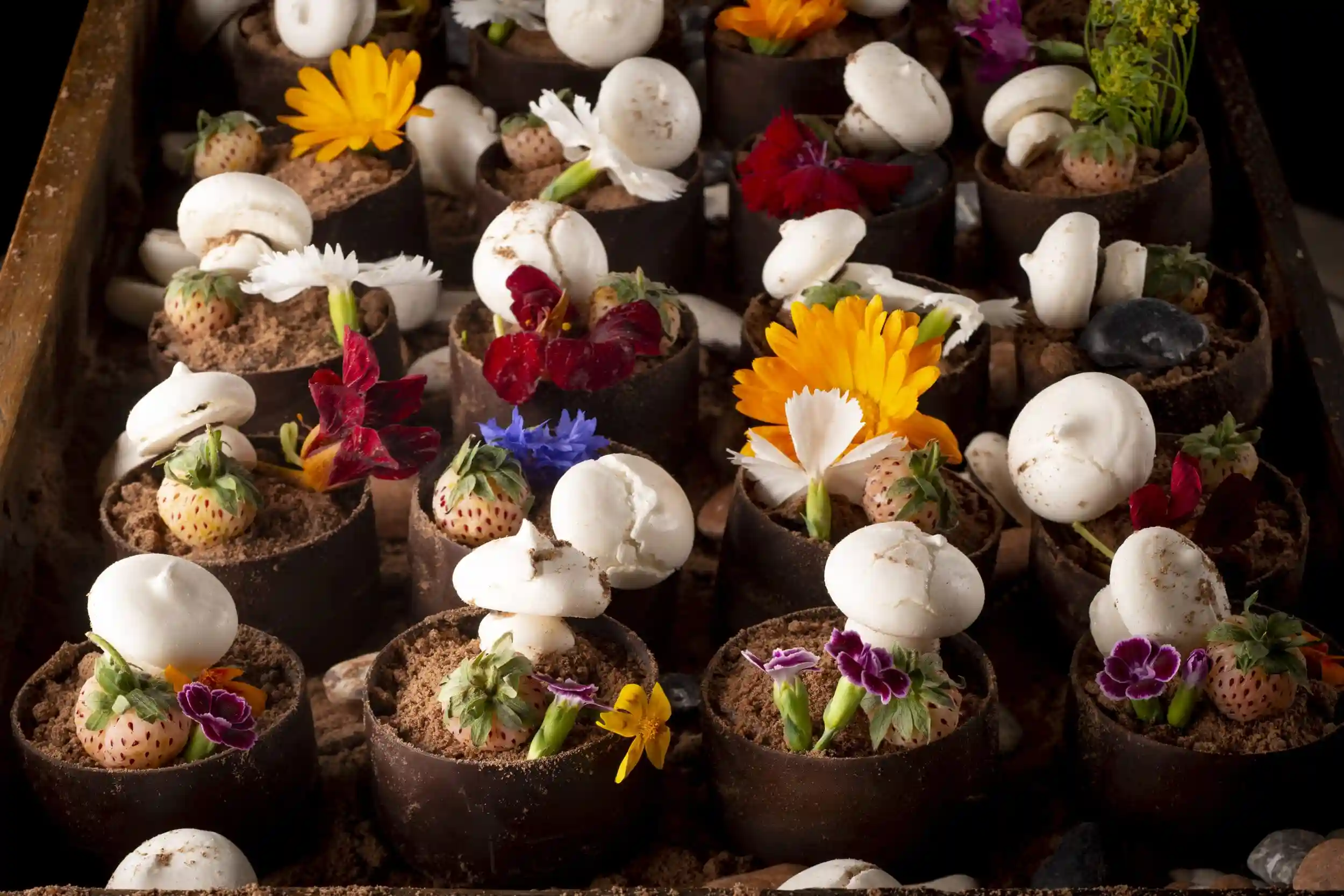 Local and zero waste caterer 102